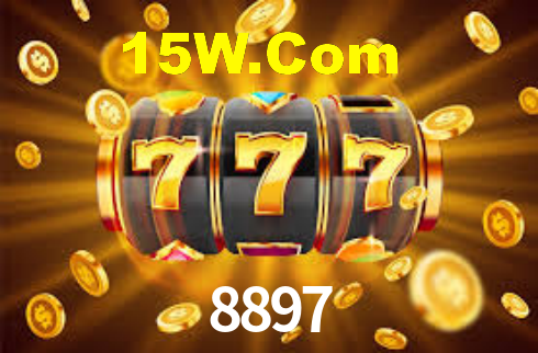 Premium Interface 8897
